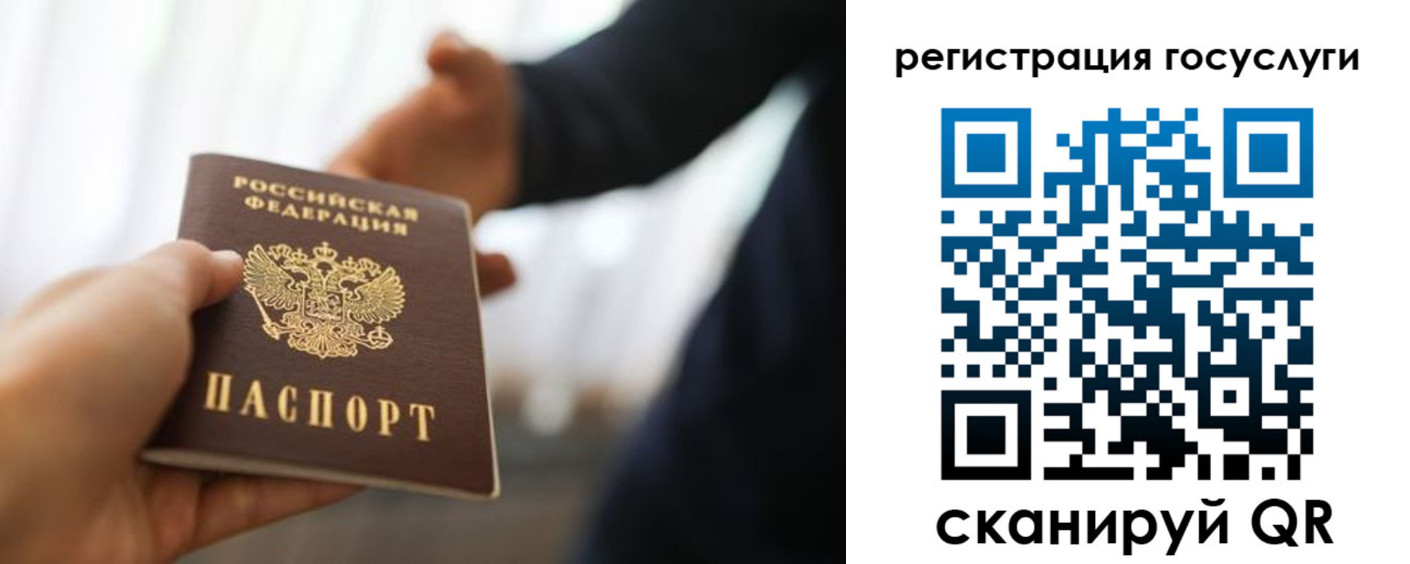 прописка в Камчатском крае